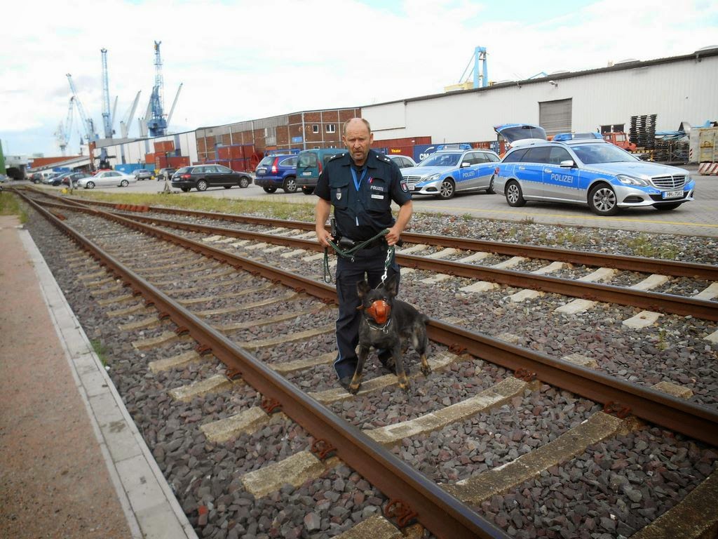 Protest gegen Atomtransporte in Hamburg, C. Steinweg