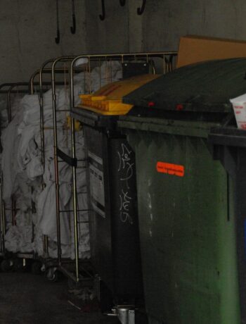 Müllcontainer für Papier und Pappe sowie Bioabfall und Kunststoffe hinter einem Supermarkt