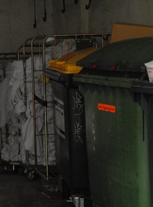 Müllcontainer für Papier und Pappe sowie Bioabfall und Kunststoffe hinter einem Supermarkt