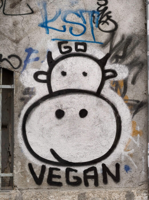 Graffiti für Tierrechte: Eine Kuh mit dem Slogan "Go vegan!" soll in der Stadt mehr pflanzliche Ernährung werben