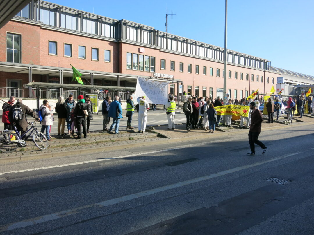 Fukushima_Jahrestag