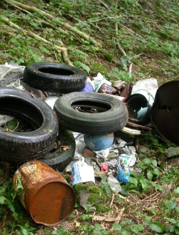Unerlaubte Entsorgung von Abfällen in der Natur