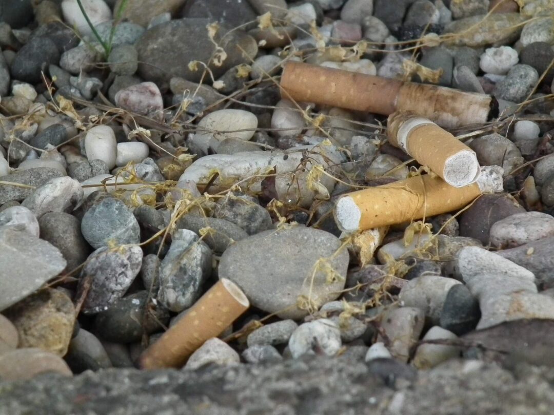 Kinderarbeit und schlechte Arbeitsbedingungen sind in der Tabakindustrie leider keine Seltenheit