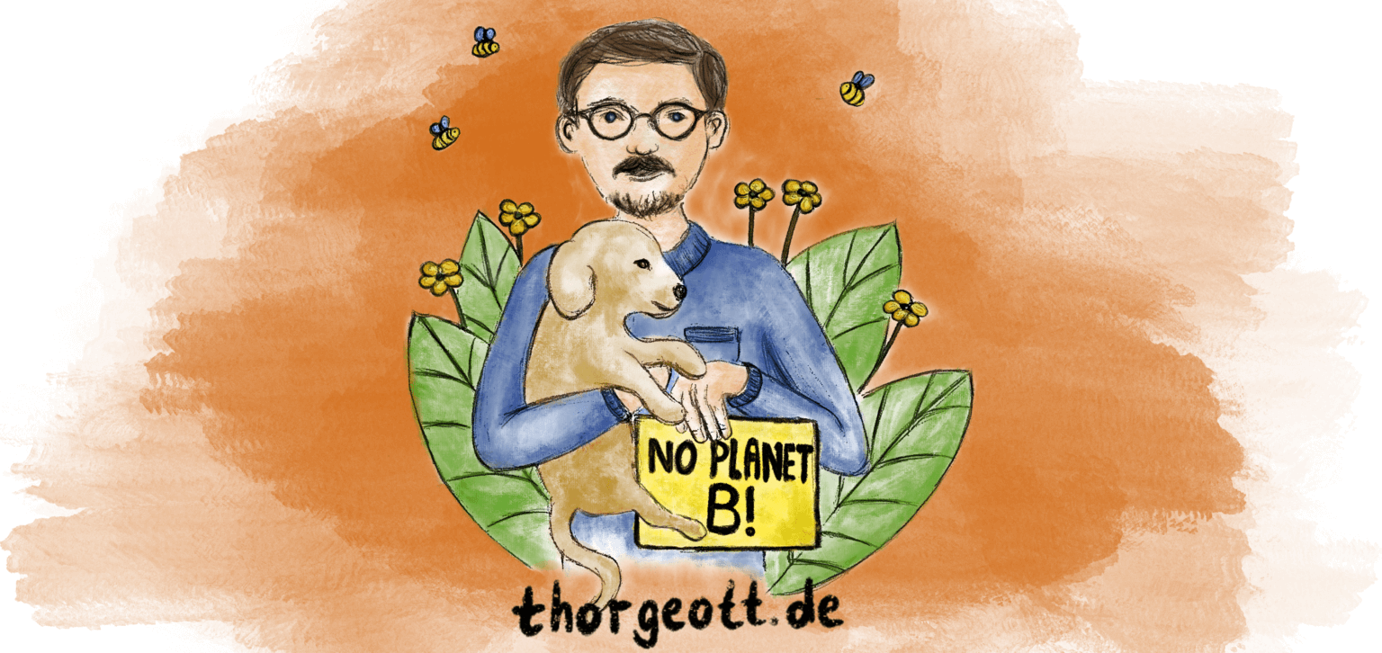 thorgeott.de – Nachhaltigkeit. Politik. Das ganz gewöhnliche Leben dazwischen.
