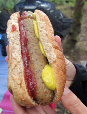 Vegane Tofuwurst im Brötchen mit Senf und Ketchup