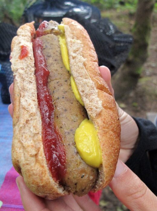Vegane Tofuwurst im Brötchen mit Senf und Ketchup
